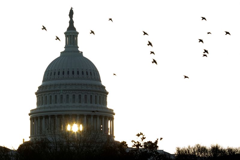 &copy; Reuters. FILE PHOTO: Birds fly near the U.S. Capitol at sunrise, on Capitol Hill in Washington, U.S., February 8, 2022. REUTERS/Tom Brenner/File Photo