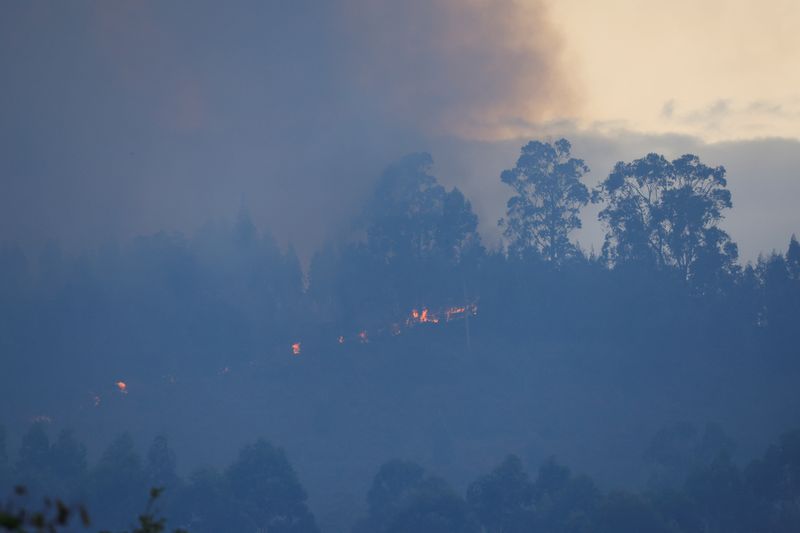 &copy; Reuters. صورة لحريق غابات في أسبانيا يوم الجمعة. تصوير: فينسنت وست - رويترز.
