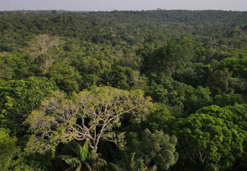 &copy; Reuters. Vista aérea da floresta amazônica em Manaus
24/10/2022 REUTERS/Bruno Kelly
