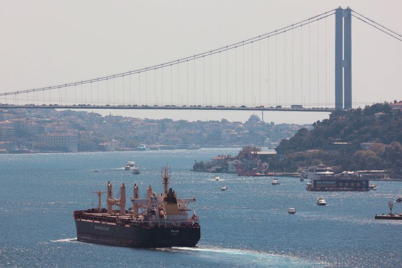 © Reuters. FILE PHOTO: The Maltese-flagged bulk carrier Rojen, carrying Ukrainian grain, sails in the Bosphorus, Istanbul, Turkey August 7, 2022. REUTERS/Yoruk Isik