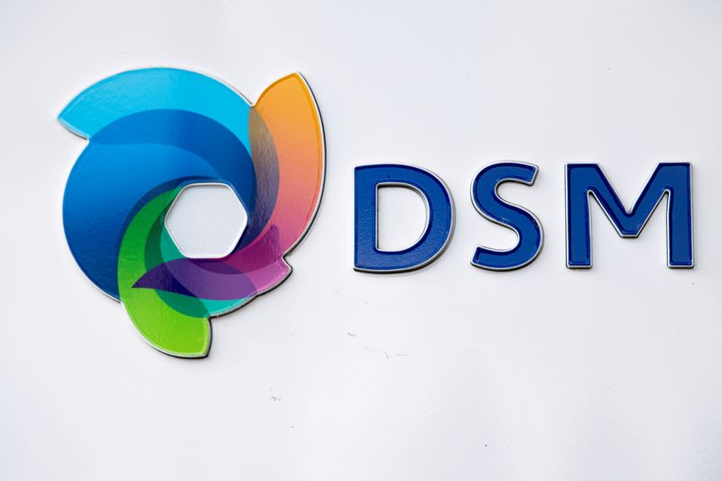 &copy; Reuters. FILE PHOTO: DSM logo is seen at the headquarters in Heerlen, Netherlands August 30, 2018. REUTERS/Piroschka van de Wouw