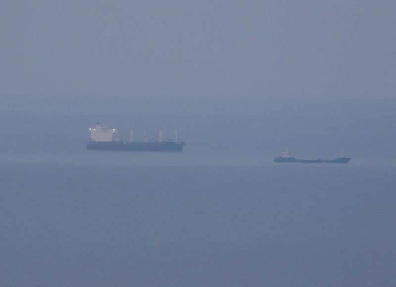 &copy; Reuters. Grain ships carrying Ukrainian grain are seen in  the Black Sea, amid Russia's attack on Ukraine, near Ukrainian port of Odesa, Ukraine October 30, 2022.  REUTERS/Serhii Smolientsev