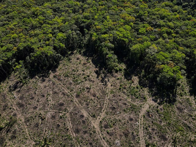 &copy; Reuters. Vista aérea de área desmatada da Amazônia em Manaus
08/07/2022 REUTERS/Bruno Kelly