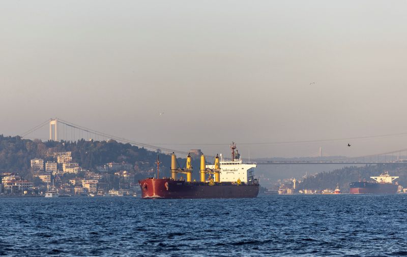 &copy; Reuters. Zante, a cargo vessel carrying Ukrainian grain, transits Bosphorus, in Istanbul, Turkey November 2, 2022. REUTERS/Umit Bektas