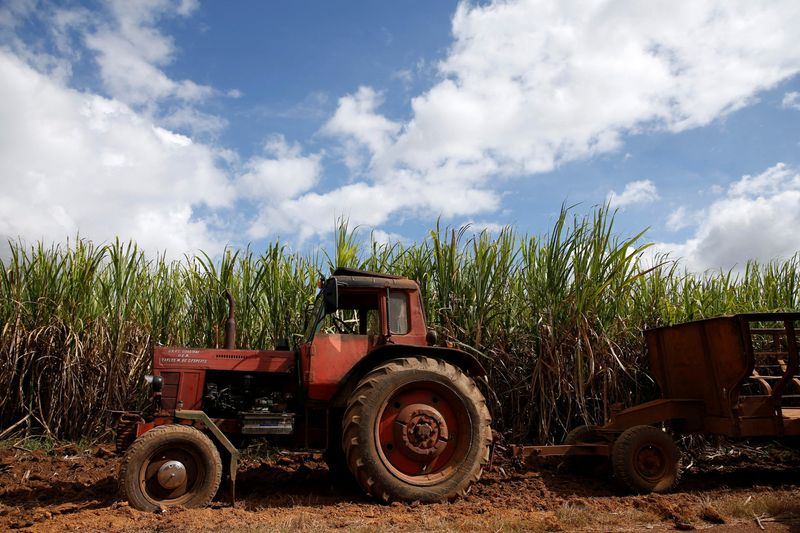 &copy; Reuters. FILE PHOTO: A tractor sits near a sugar cane field while people wait for the caravan carrying Cuba's late President Fidel Castro's ashes in Florida, Cuba, December 1, 2016.  REUTERS/Carlos Garcia Rawlins/File Photo