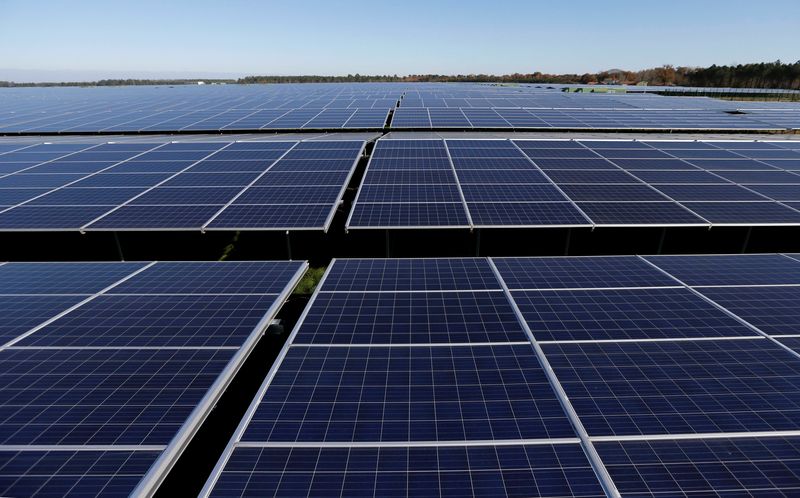 &copy; Reuters. Photo d'archives de panneaux photovoltaïques à Cestas, France. /Photo prise le 1er décembre 2015/REUTERS/Régis Duvignau