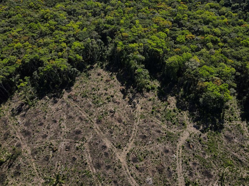 &copy; Reuters. FOTO DE ARCHIVO: Una vista aérea muestra una parcela deforestada de la selva amazónica en Manaos, estado de Amazonas, Brasil. 8 de julio de 2022. REUTERS/Bruno Kelly/Archivo