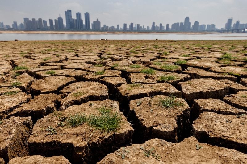 &copy; Reuters. FILE PHOTO: Cracks run through the partially dried-up river bed of the Gan River, a tributary to Poyang Lake during a regional drought in Nanchang, Jiangxi province, China, August 28, 2022.  REUTERS/Thomas Peter/File Photo