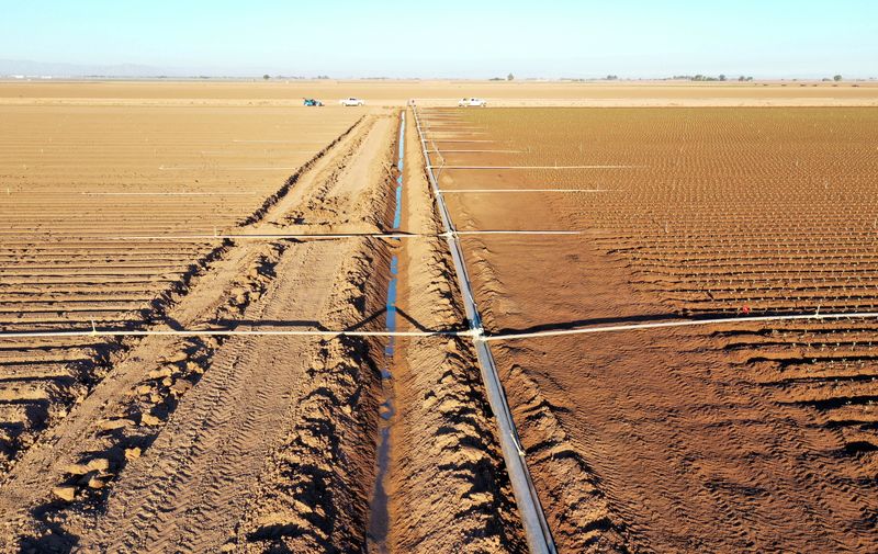 &copy; Reuters. FILE PHOTO: A view of fields, irrigation canal and pipes in Holtville, California, U.S., September 20, 2022. REUTERS/Aude Guerrucci/File Photo