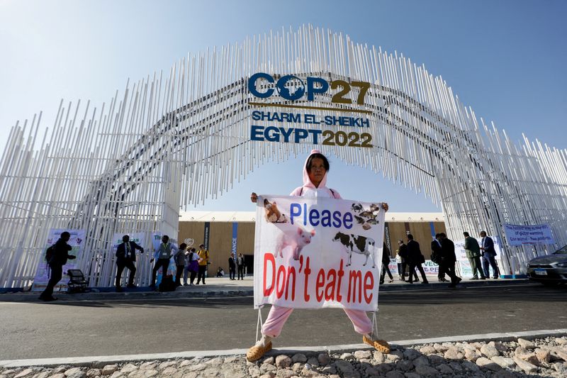 &copy; Reuters. FILE PHOTO: An activist holds a banner, as she demonstrates at the entrance of the Sharm El Sheikh International Convention Centre, during the COP27 climate summit opening, in Sharm el-Sheikh, Egypt, November 7, 2022.REUTERS/Mohamed Abd El Ghany/File Phot