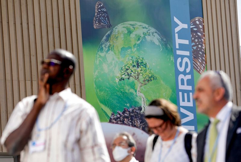 &copy; Reuters. Attendees walk during the COP27 climate summit in Sharm el-Sheikh, Egypt November 8, 2022. REUTERS/Mohamed Abd El Ghany