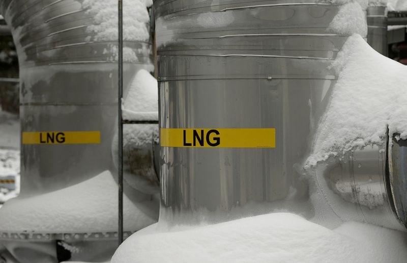 &copy; Reuters. FILE PHOTO: Snow covered transfer lines are seen at the Dominion Cove Point Liquefied Natural Gas (LNG) terminal in Lusby, Maryland March 18, 2014.   REUTERS/Gary Cameron  (UNITED STATES)/File Photo