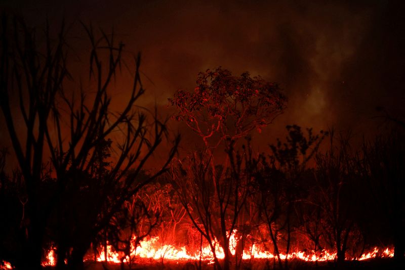 © Reuters. FILE PHOTO: A view of the devastation caused by a forest fire in an area of Brasilia's National Forest, in Brasilia, Brazil September 5, 2022. REUTERS/Adriano Machado/File Photo