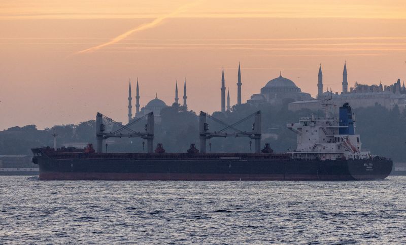 &copy; Reuters. سفينة شحن تحمل حبوبا من أوكرانيا تعبر مضيق البسفور في إسطنبول بتركيا في الثاني من نوفمبر تشرين الثاني 2022. تصوير أوميت بكتاش- رويترز.