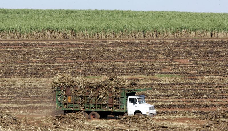 &copy; Reuters. Caminhão carregando cana
11/03/2006
REUTERS/Paulo Whitaker