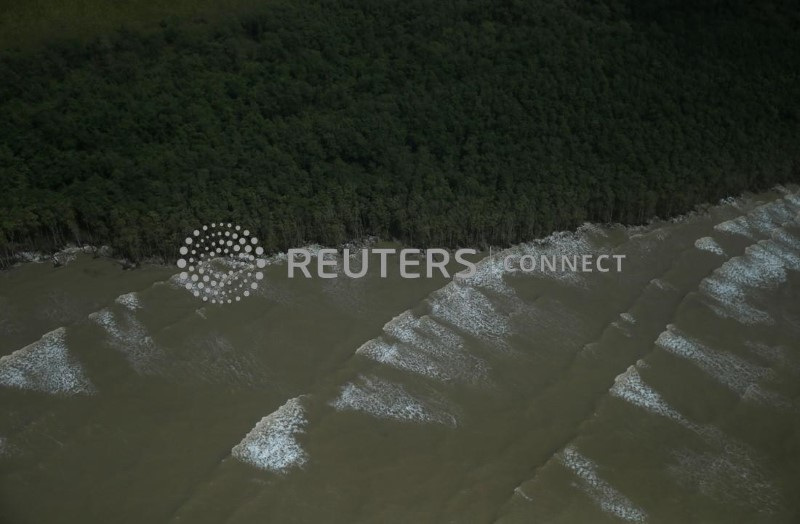 &copy; Reuters. Ondas atingem uma floresta às margens do Oceano Atlântico no litoral do estado do Amapá, próximo à cidade de Oiapoque
31/03/2017
REUTERS/Ricardo Moraes