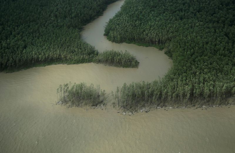 © Reuters. Costa do Amapá
31/03/2017
REUTERS/Ricardo Moraes