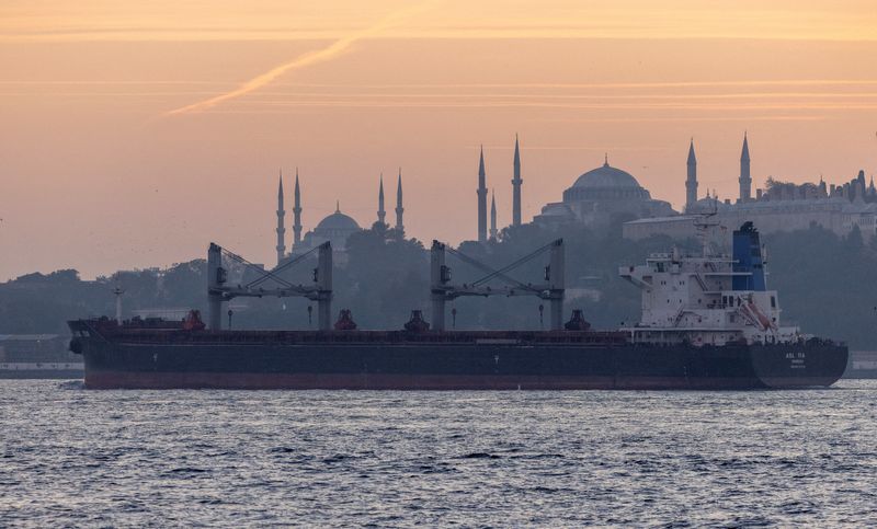 &copy; Reuters. Embarcação com grãos ucranianos em Istambul
 2/11/2022   REUTERS/Umit Bektas