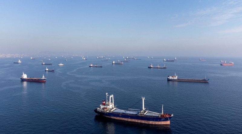 © Reuters. FILE PHOTO: Commercial vessels including vessels which are part of Black Sea grain deal wait to pass the Bosphorus strait off the shores of Yenikapi during a misty morning in Istanbul, Turkey, October 31, 2022. REUTERS/Umit Bektas/File Photo