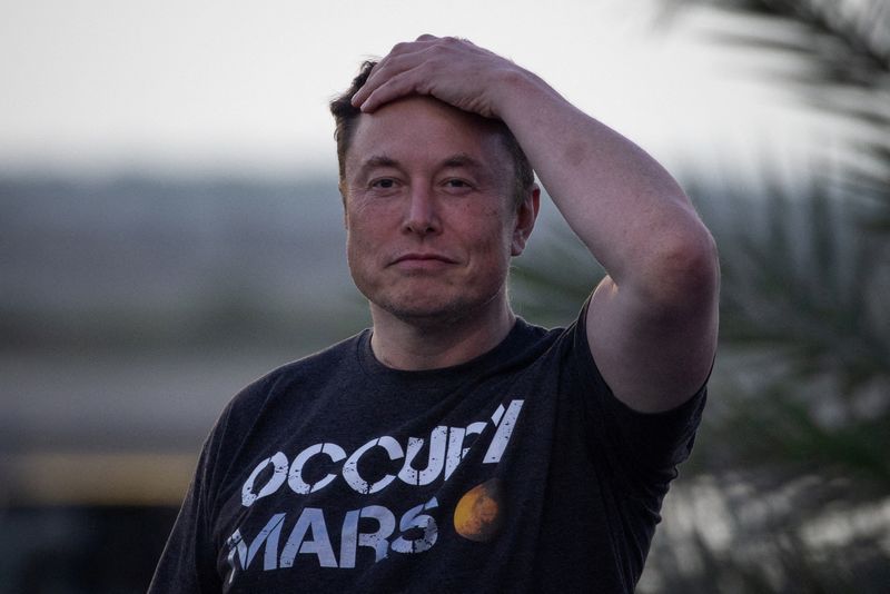 Elon Musk says 'I have too much work on my plate'