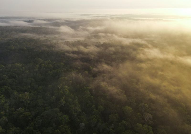 &copy; Reuters. FOTO DE ARCHIVO: Una vista aérea muestra árboles y niebla en la selva amazónica en Manaos, estado de Amazonas, Brasil. 26 de octubre, 2022. REUTERS/Bruno Kelly/Archivo