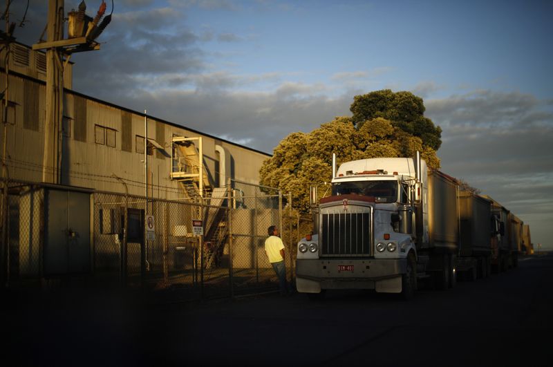 &copy; Reuters. FILE PHOTO: A truck driver waits to load his vehicle outside the Incitec Pivot fertilizer and explosive chemical plant in Geelong,February 26, 2014. REUTERS/Jason Reed/File Photo