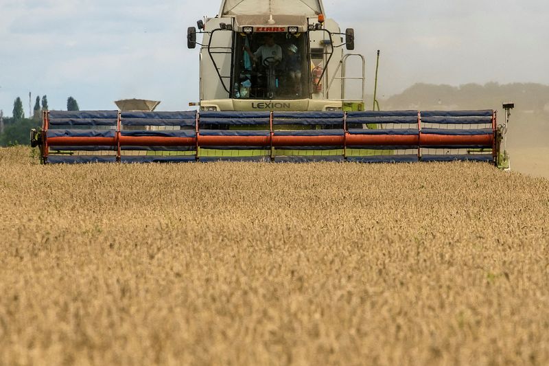 © Reuters. FILE PHOTO: A combine harvests wheat in a field near the village of Zghurivka, in Kyiv region, Ukraine August 9, 2022.  REUTERS/Viacheslav Musiienko