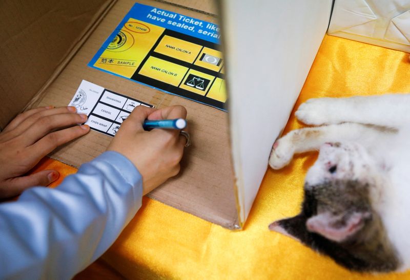 &copy; Reuters. An undergraduate marks her ballot paper during a mock-up election to familiarise the first-time voter with the election procedure ahead of Malaysia's upcoming general election at International Islamic University Malaysia in Gombak, Selangor, Malaysia, Nov