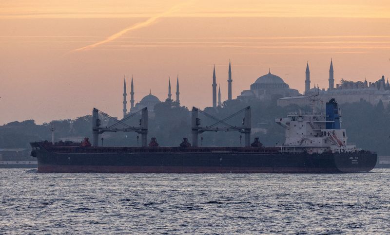 © Reuters. FILE PHOTO: Asl Tia, a cargo vessel carrying Ukrainian grain, transits the Bosphorus, in Istanbul, Turkey November 2, 2022. REUTERS/Umit Bektas/File Photo