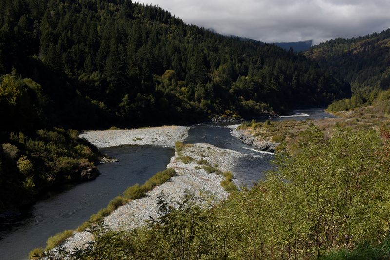 Para salvar el salmón, EEUU aprueba la mayor desmantelación de represas de su historia