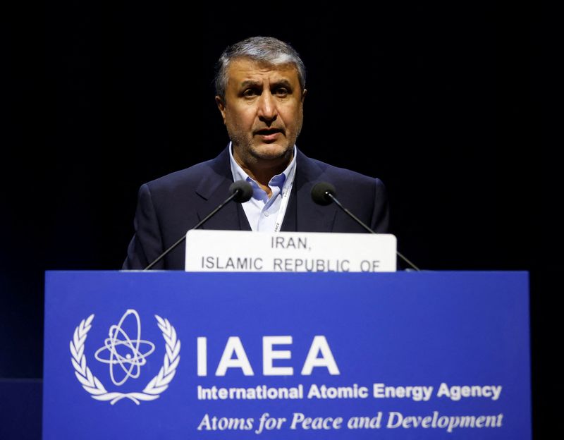 &copy; Reuters. رئيس منظمة الطاقة الذرية الإيرانية محمد إسلامي خلال مؤتمر في فيينا يوم 26 سبتمبر أيلول 2022.  تصوير: ليونارد فويجر - رويترز.