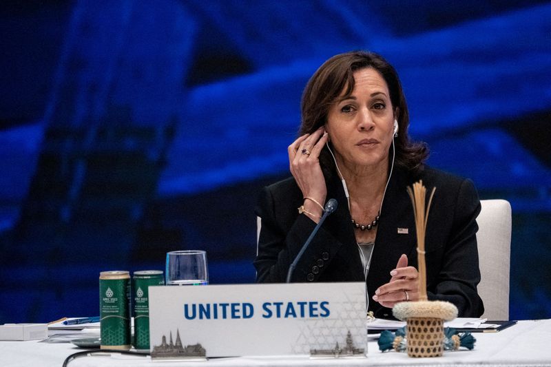 US VP Harris announces $20 million new clean energy funding for Mekong region