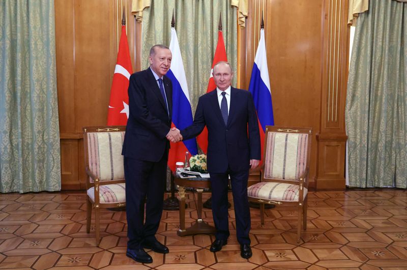 &copy; Reuters. FOTO DE ARCHIVO. El presidente ruso, Vladimir Putin, estrecha la mano del presidente turco, Tayyip Erdogan, durante una reunión en Sochi, Rusia