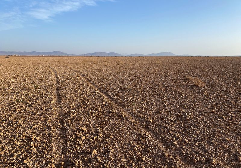 &copy; Reuters. FILE PHOTO: A dry field is pictured near Marrakech, Morocco February 12, 2022. REUTERS/Sybille de La Hamaide