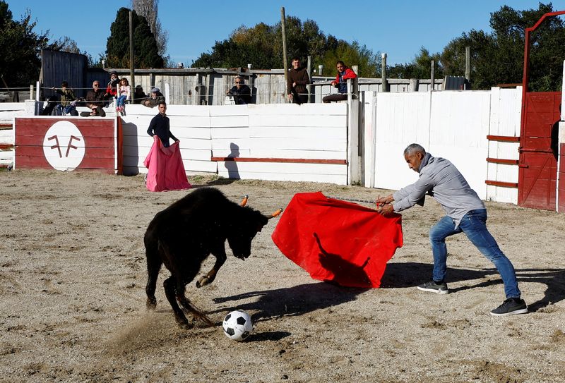 &copy; Reuters. Un enseignant de l'école taurine d'Arles aux arènes du Monumental de Gimeaux à Arles, France. /Photo prise le 20 novembre 2022/REUTERS/Eric Gaillard