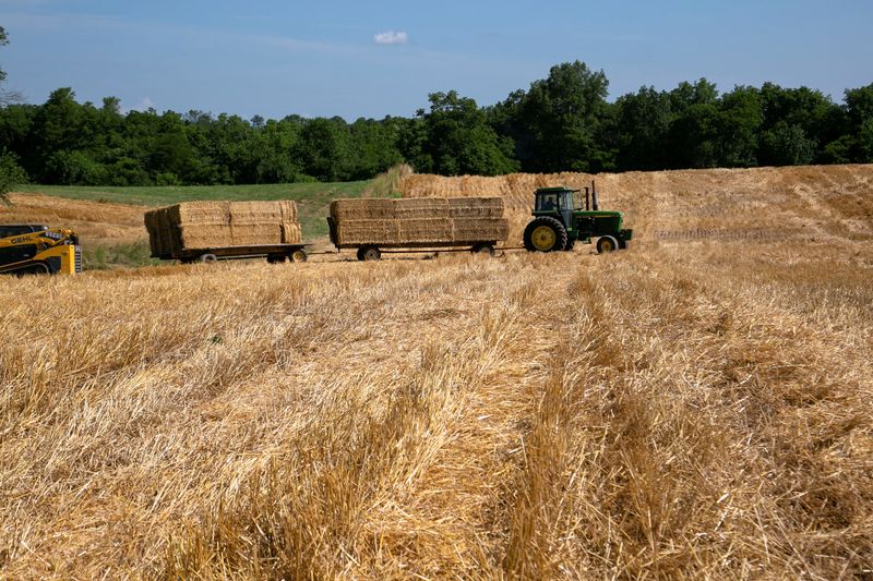 &copy; Reuters. FILE PHOTO: A tractor transports bales of straw after a harvest to clear the land for soybean plantation, during wheat harvest in Shelbyville, Kentucky, U.S. June 29, 2021. REUTERS/Amira Karaoud/File Photo