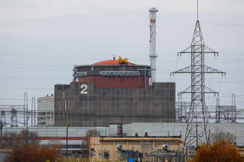 &copy; Reuters. محطة زابوريجيا للطاقة النووية في منطقة زابوريجيا في أوكرانيا يوم 24 نوفمبر تشرين الثاني2022. تصوير: ألكسندر إرموشينكو - رويترز.

