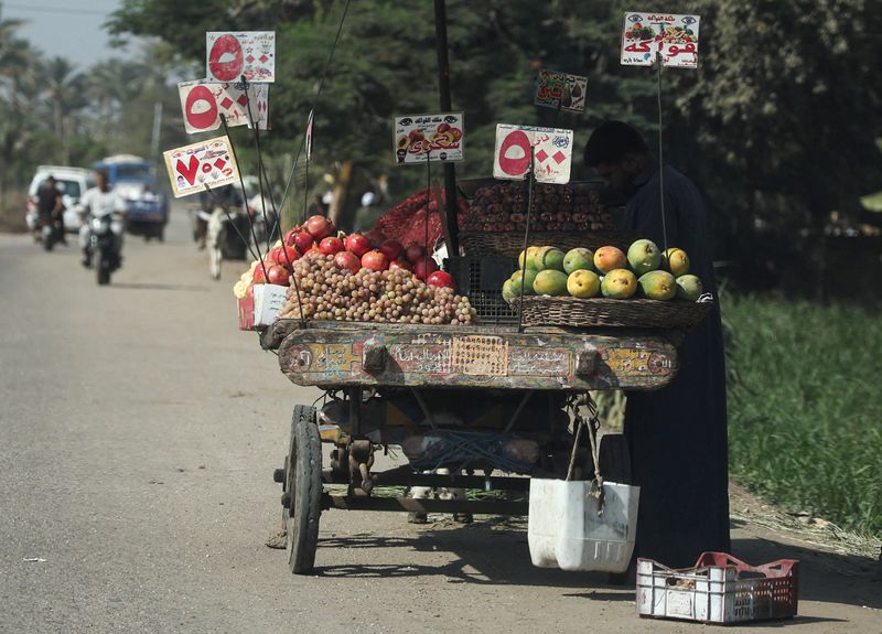 © Reuters. بائع خضروات وفاكهة يقف بطريق قريب من سوق في البدرشين بضواحي محافظة الجيزة في صورة التقطت يوم الرابع من أكتوبر تشرين الأول 2022. تصوير: عبد الله دلش - رويترز.