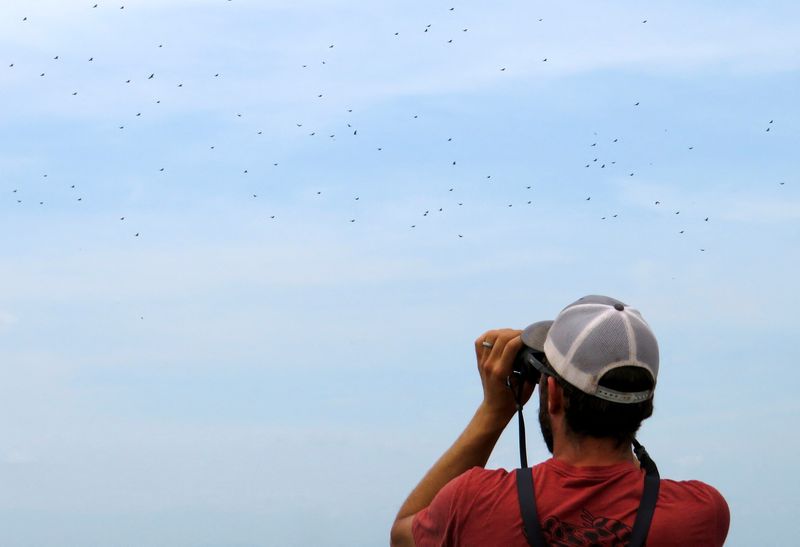 &copy; Reuters. Un observador de aves sigue el fenómeno del Río de Rapaces en lo alto del Hotel Bienvenido, en José Cardel, Veracruz, México. 17 de octubre de 2022. REUTERS/Carolina Pulice