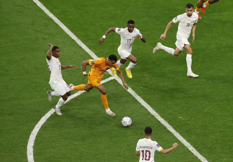 © Reuters. Nov 29, 2022 
Foto del martes de Cody Gakpo marcando para Países Bajos ante Qatar 
 REUTERS/Albert Gea