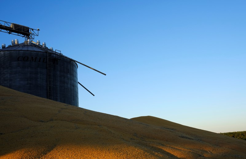 &copy; Reuters. Pilhas de milho fora de silos já cheios do grão, perto de Sorriso, no Estado de Mato Grosso
26/07/2017
REUTERS/Nacho Doce