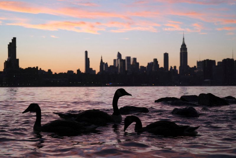 &copy; Reuters. Des oies sont vues sur une rivière devant l'horizon de Manhattan pendant le coucher du soleil à New York. /Photo prise le 27 juin 2022/REUTERS/Tyrone Siu