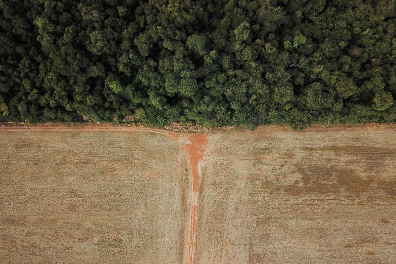 &copy; Reuters. Fronteira entre Amazônia e Cerrado
28/07/2021
REUTERS/Amanda Perobelli