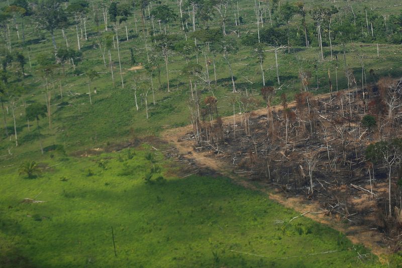 &copy; Reuters. FOTO DE ARCHIVO: Una vista aérea muestra una parcela deforestada de la selva amazónica en el estado de Rondonia, Brasil. 28 de septiembre de 2021. REUTERS/Adriano Machado