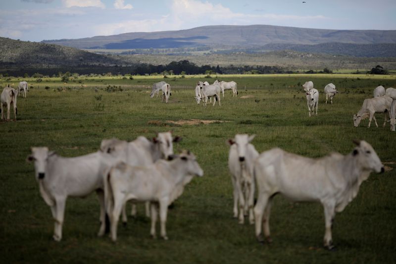 &copy; Reuters. Criação de gado em Alto Paraíso (GO) 
16/03/2018
REUTERS/Ueslei Marcelino