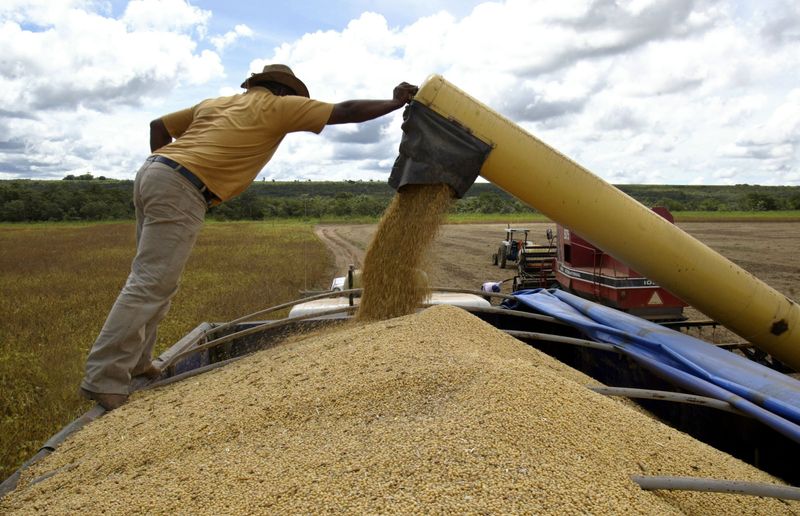 &copy; Reuters. Produção de soja em Lucas do Rio Verde (MT) 
02/12/2022
REUTERS/Paulo Whitaker  PW