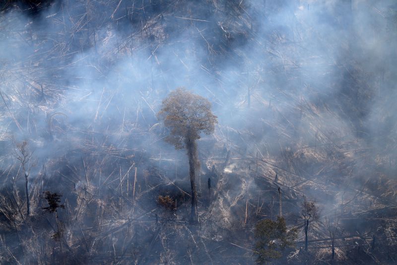 &copy; Reuters. FOTO DE ARCHIVO: Una extensión de selva amazónica arde mientras es despejada por agricultores en Itaituba, Pará, Brasil, 26 de septiembre de 2019. REUTERS/Ricardo Moraes