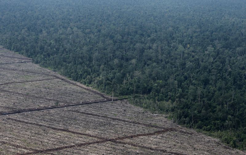 &copy; Reuters. Photo d'archives : Une vue de la déforestation sur l'île de Sumatra en Indonésie. /Photo prise le 5 août 2010/REUTERS/Beawiharta 