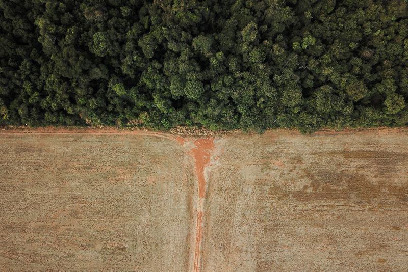 &copy; Reuters. FILE PHOTO: An aerial view shows deforestation near a forest on the border between Amazonia and Cerrado in Nova Xavantina, Mato Grosso state, Brazil July 28, 2021. Picture taken with a drone on July 28, 2021. REUTERS/Amanda Perobelli/File Photo