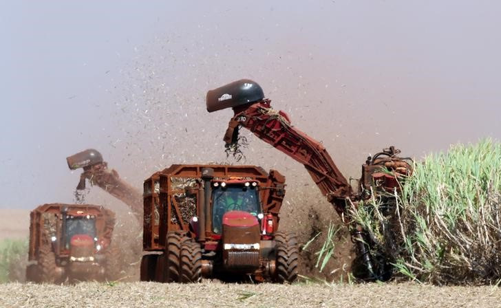 &copy; Reuters. Imagen de archivo de una cosechadora recogiendo caña de azúcar en el ingenio Sao Martinho de Pradópolis, Brasil. 13 septiembre 2018. REUTERS/Paulo Whitaker
